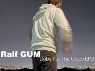 Ralf Gum Groove Called Dub Mp3 Download