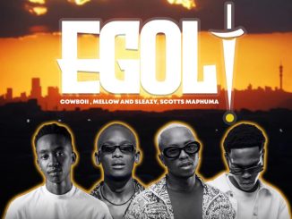 CowBoii eGoli Mp3 Download