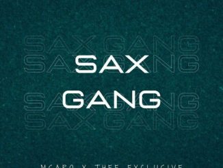 Msaro Sax Gang Mp3 Download