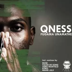 Qness Fungama Unamathe Mp3 Download