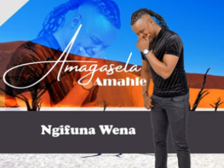 Stabhilithi Amagasela Amahle EP Download