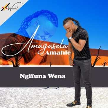 Stabhilithi Amagasela Amahle EP Download
