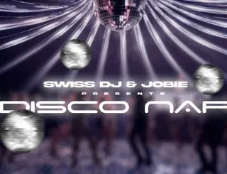 Swiss DJ Disco Nap Mp3 Download