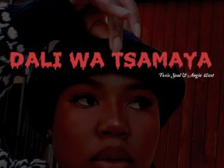 Toxic Soul Dali Wa Tsamaya Mp3 Download