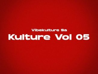 Vibekulture SA Kulture Vol 5 Album Download