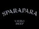 Vigro Deep Sparapara Mp3 Download