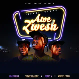 Zwesh SA Awe Zwesh Mp3 Download