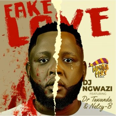 DJ Ngwazi ft Dr Tawanda & Nelcy-B – Fake Love