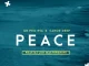 Dr Phil RSA Peace Mp3 Download