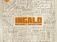 Frigid Armadillo Ingalo Mp3 Download