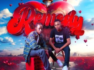 The Cool Guys Remedy EP Download