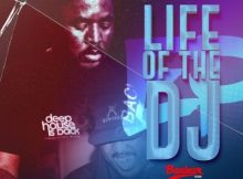 Citizen Sthee Life of the DJ EP Download