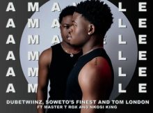 Dube Twiinz Amawele Mp3 Download